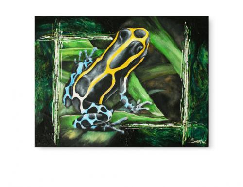 Dendrobates Tinctorius, 2011