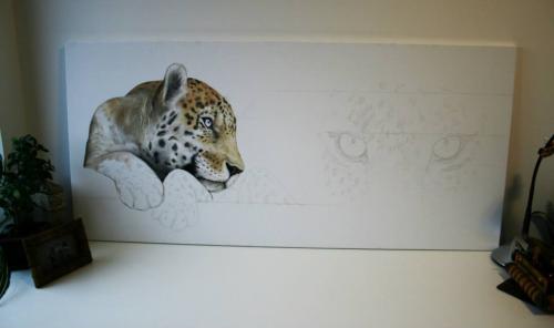 Panthera Pardus Orientalis, 2014