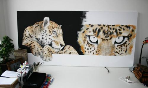 Panthera Pardus Orientalis, 2014