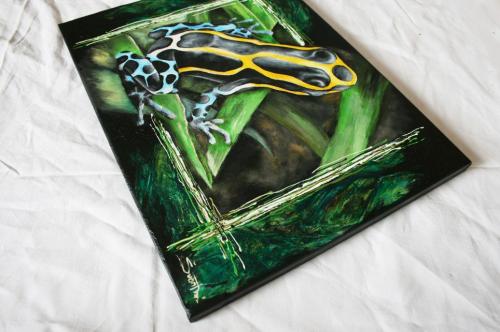 Dendrobates Tinctorius, 2011