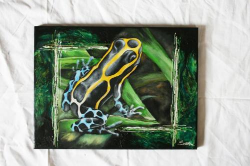 Dendrobates Tinctorius, 2011