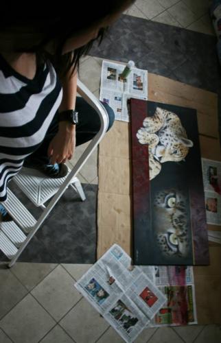 Panthera Pardus Orientalis, 2014